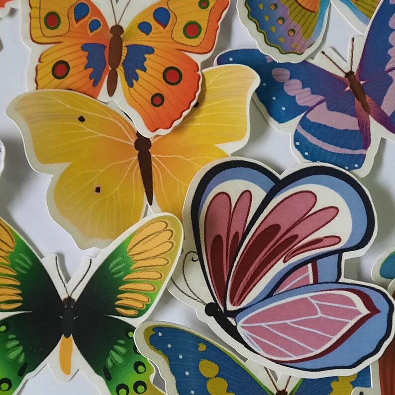 Large Butterfly Stickers Cute Colorful Assorted Colors Etsy