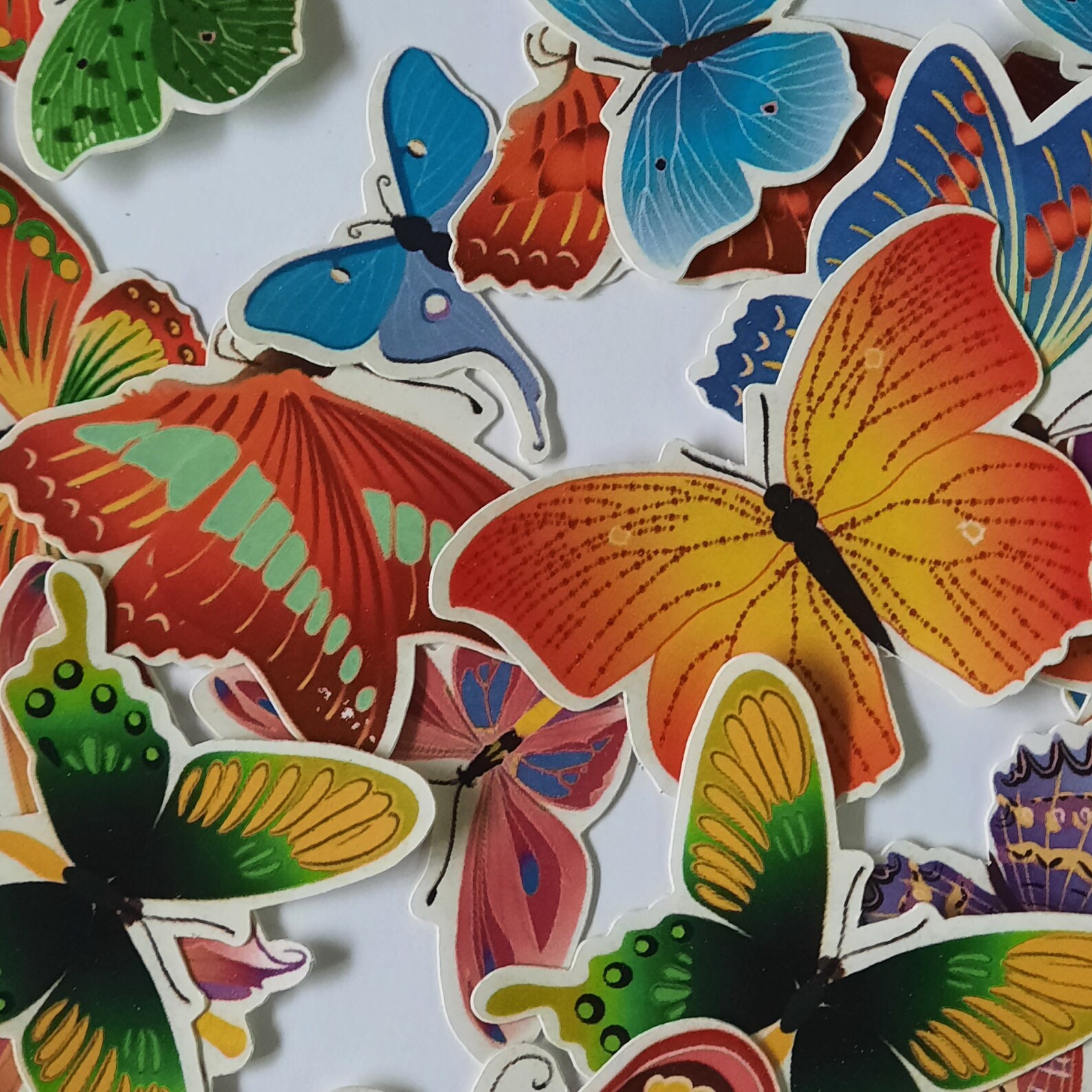 Small Butterfly Stickers Cute Colorful Assorted Colors Etsy
