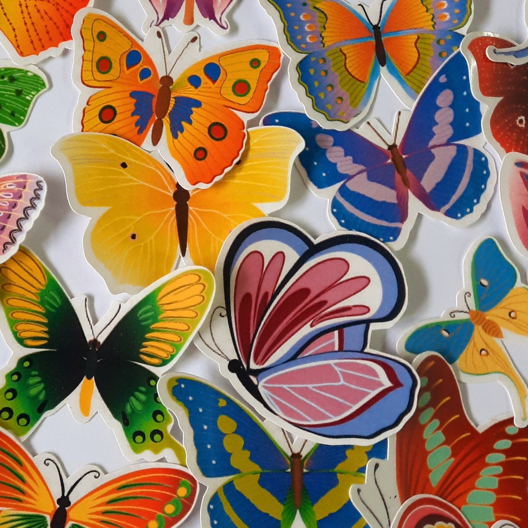 Large Butterfly Stickers Cute Colorful Assorted Colors Etsy