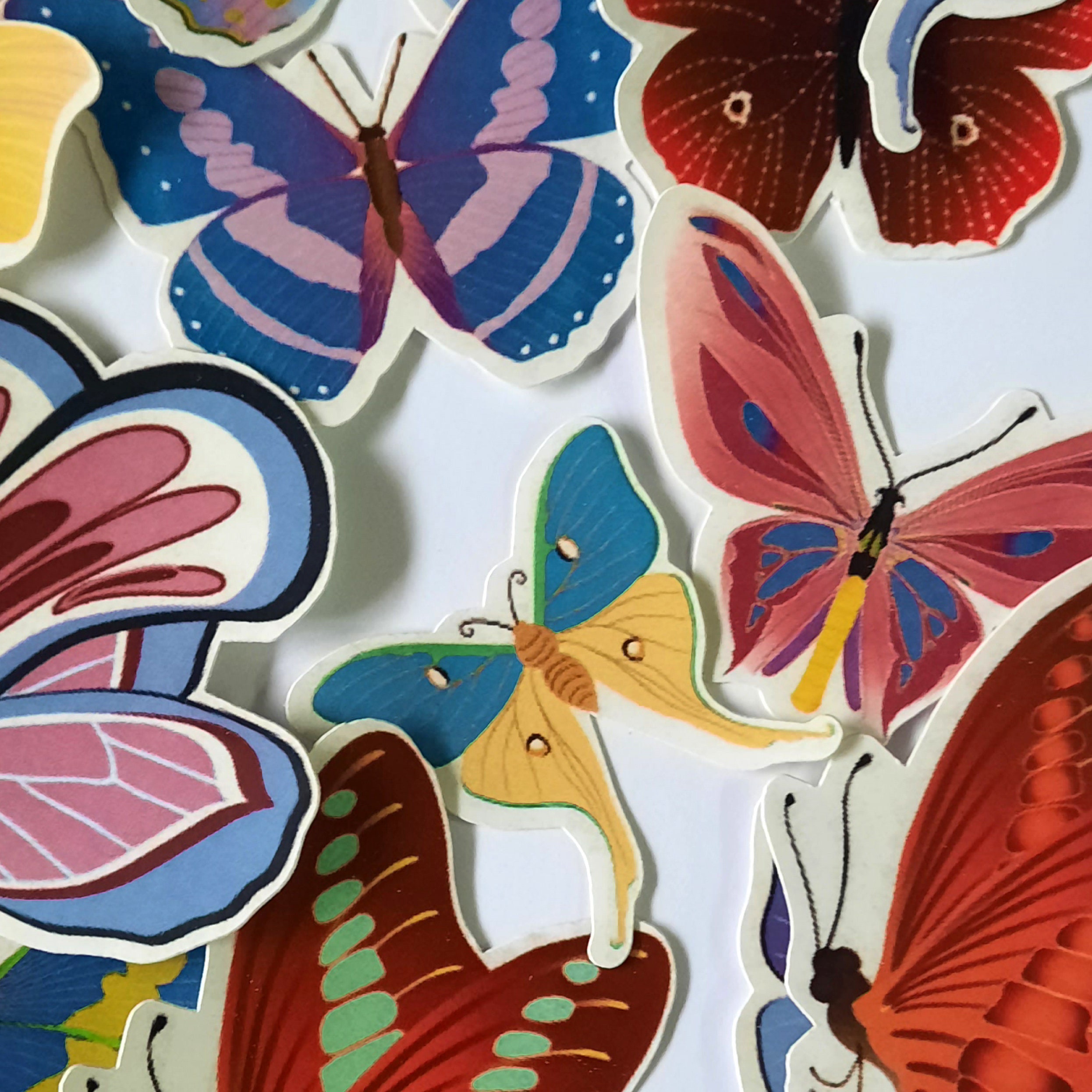 Large Butterfly Stickers Cute Colorful Assorted Colors Etsy