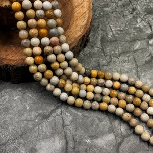 Coral Fossil Jasper Beads, Natural Gemstone Round Loose Beads, 6mm& 8mm Fossil Coral Beads, Fossil Coral Beads For DIY Jewelry Making