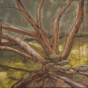 Turtle Gathering - original plein air acrylic painting on 12 X 9 wrapped canvas, unframed