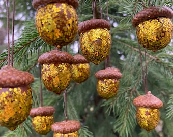 Gold Acorns x12 with affixed caps Rustic Wedding, Thanksgiving, Fall wedding decor, Preserved Autumn decorations, Naturally preserved