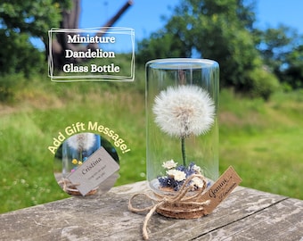 Whole Dandelion in Glass Jar With Gift Message, Terrarium Decor For Home, Spring Summer Wildflower Decor, Dandelion Wish Gift For Friend