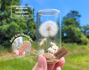 Preserved Dandelion Wish in Glass Jar: Wildflower Terrarium Gift