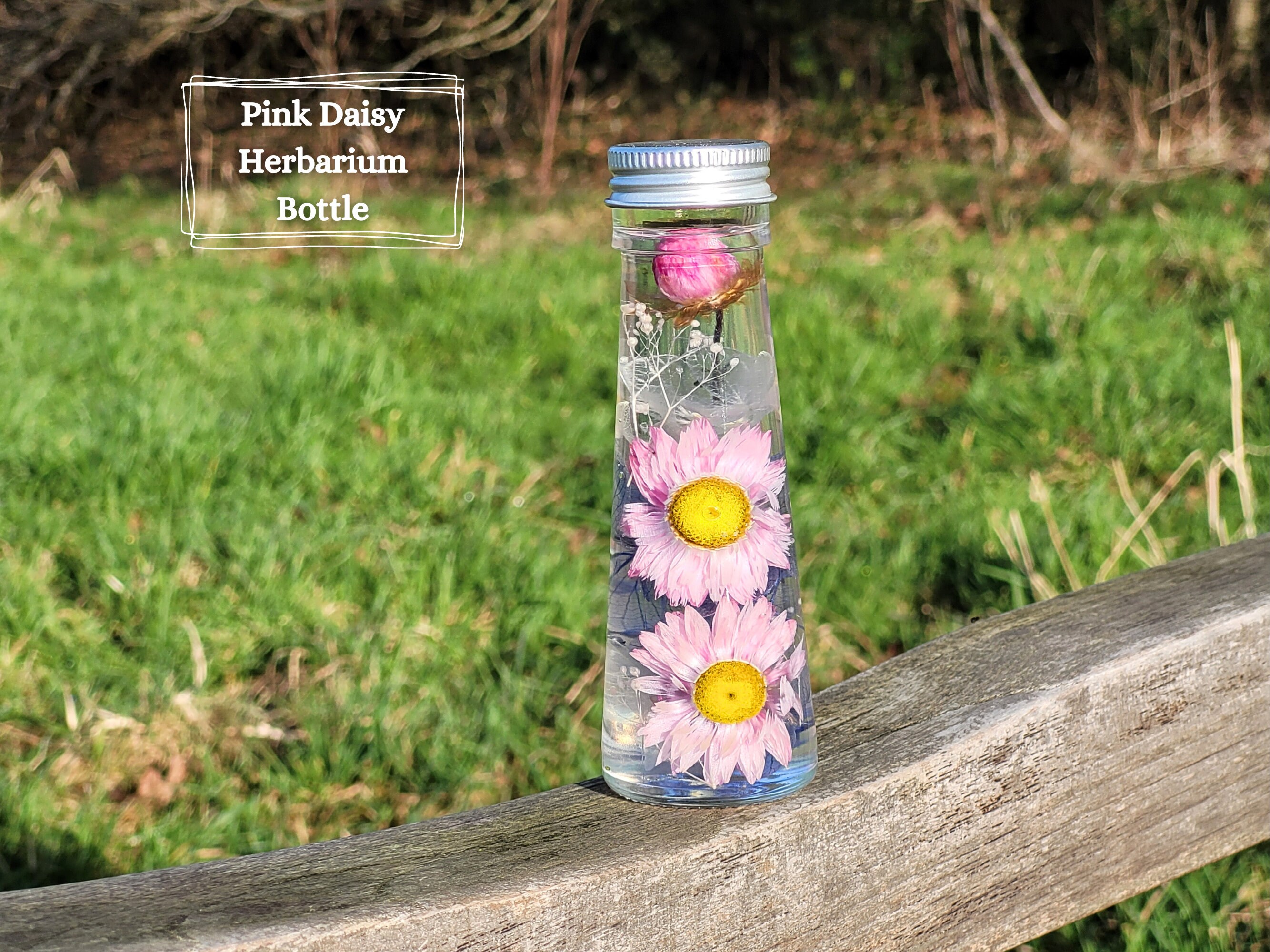 Herbarium Bottle - Etsy