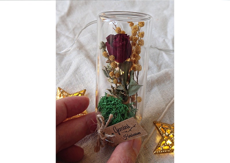 May include: A glass tube filled with dried flowers, including a red rose, and green moss. A small brown tag is attached to the tube with the text "Gemini Herbarium".