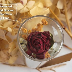 Roses represent love, passion and romantic feelings. One rose means love at first sight and one and only love. Gorgeous valentine's day gift or anniversary gift for your loved one.