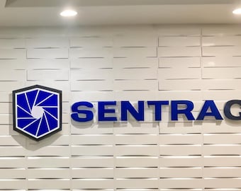 Outdoor Illuminated Backlit Business Sign, Storefront 3D Metal Logo Custom