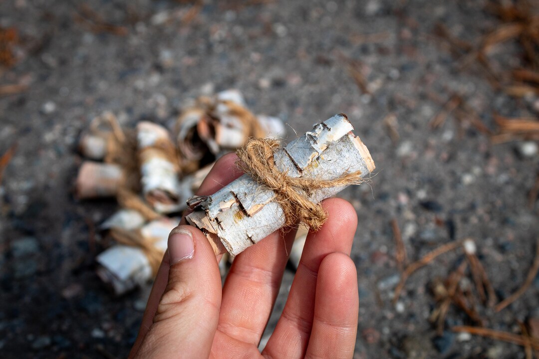 White Birch Bark Fire Starter Rolls in Bulk . Organic Birch Etsy