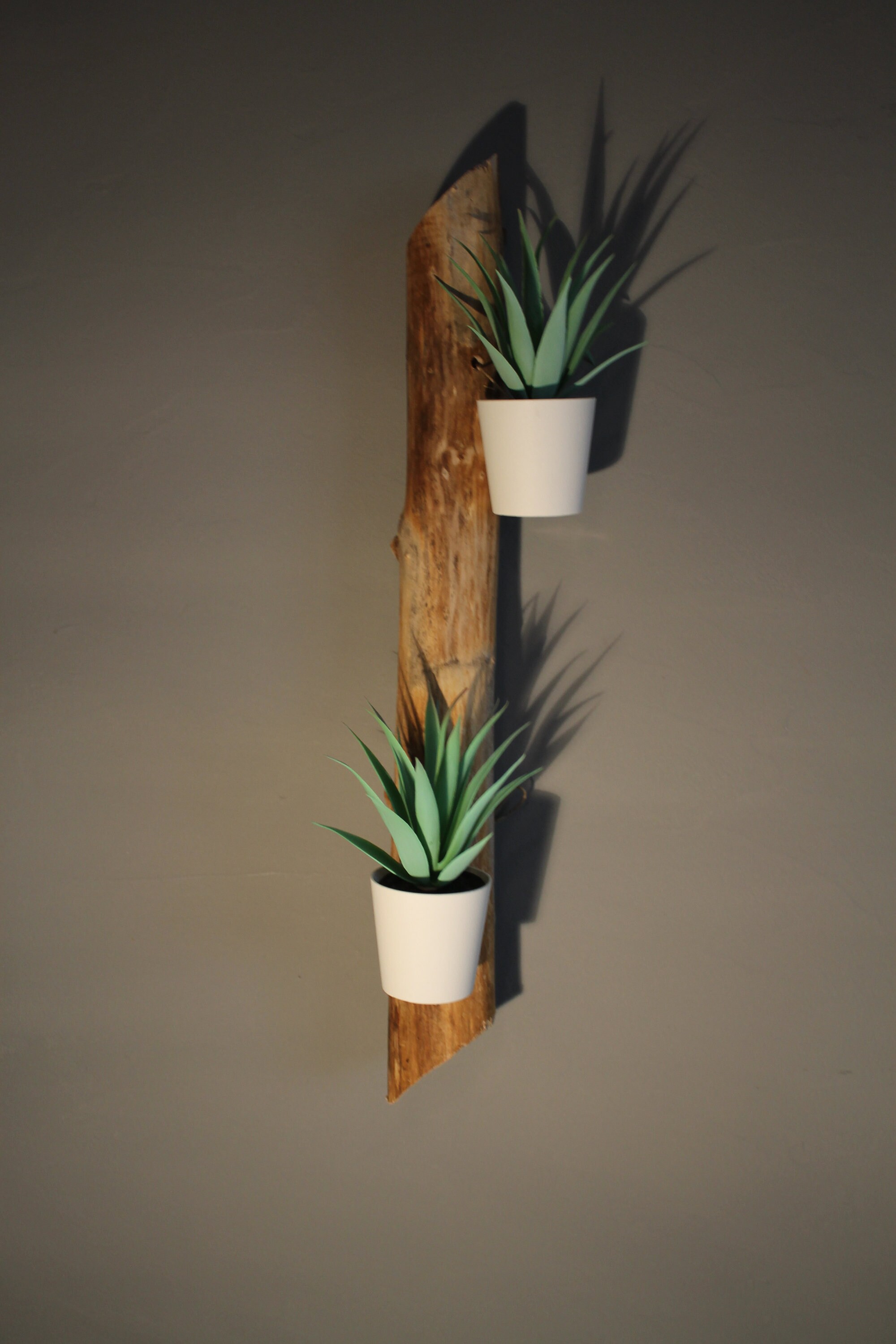 Bois Flotté Le Vertical 2