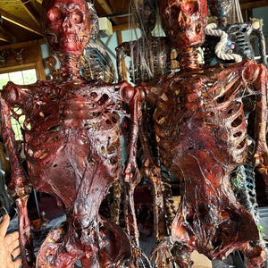 Personalisierte Skelette