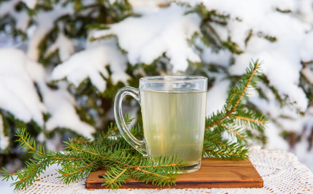 Infusion Bronchotoux - 50G-