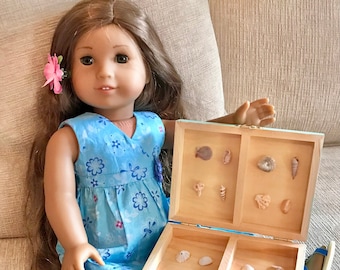18" American Girl Doll Accessories Seashell Collection  Miniature Shells with ID Chart