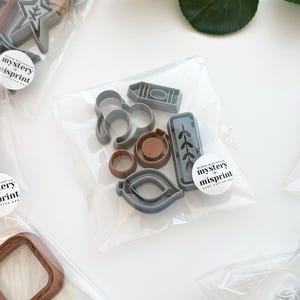 May include: A clear plastic bag filled with grey and brown cookie cutters. The cutters are shaped like a leaf, a crayon, a circle, a star, and a branch. The bag has a sticker that says "Bloom Mystery + Misprint Clay Cookie Bag".