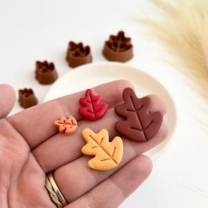 May include: Five different sized clay leaf shapes in various shades of red, orange, and yellow. The leaves are arranged on a hand.