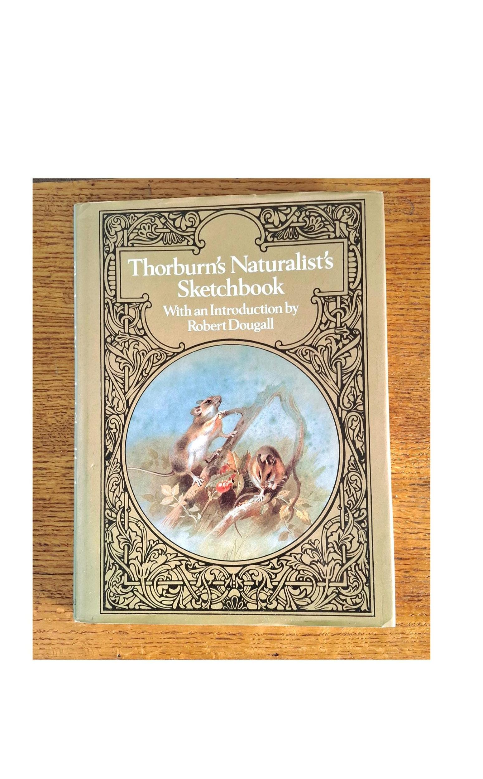 Thorburn's Naturalist's Sketchbook Nature Art Wildlife Book Ornithology Book Nature Writing Bird Book Vintage Nature Art