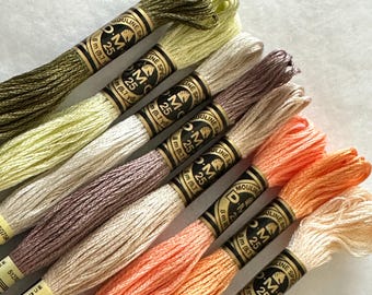 DMC Floss, Cross Stitch floss. Choose a color.