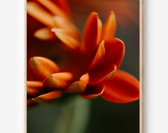 Abstract Flower | Macro Photography | Nature Print | Instant Download
