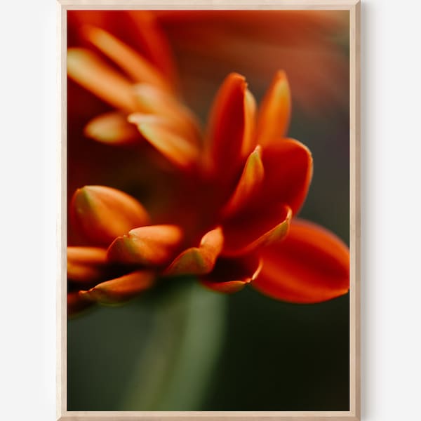Abstract Flower | Macro Photography | Nature Print | Instant Download