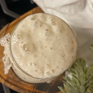 Levain au levain du Pays de Galles 1000 ans d'âge