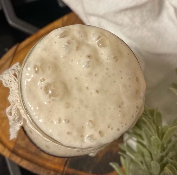 1000+ Year old Wales Organic Sourdough Starter Culture