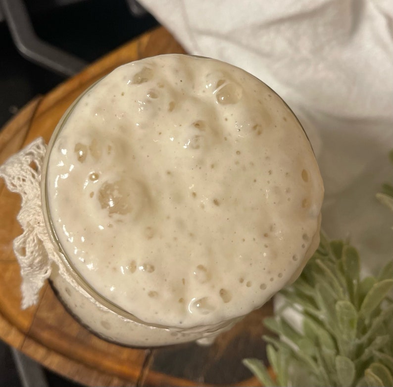 Op de afbeelding: Een close-up van een glazen pot gevuld met een witte, bubbelende zuurdesemstarter. De starter is actief en heeft een dikke, romige textuur.