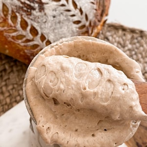 Swedish White Rye Sourdough Starter