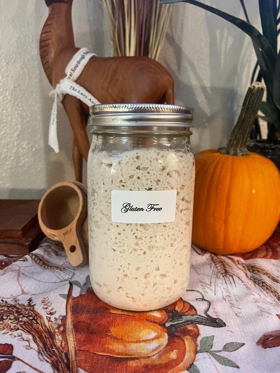 Iowa Gluten-Free Sourdough Starter Culture