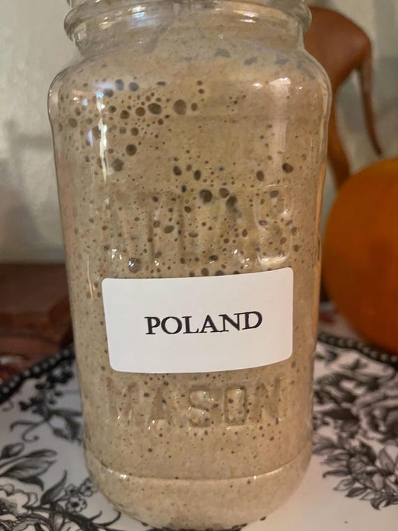 Polish Dark Rye Wet Sourdough Starter