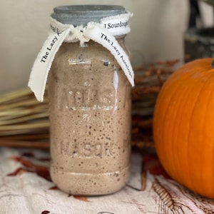 Polish Dark Rye Wet Sourdough Starter