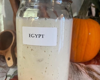 4500 Year old Egypt Sourdough Starter