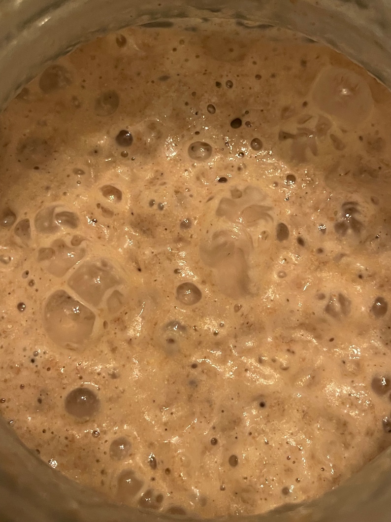 May include: Close-up of a brown sourdough starter with a bubbly, foamy texture.