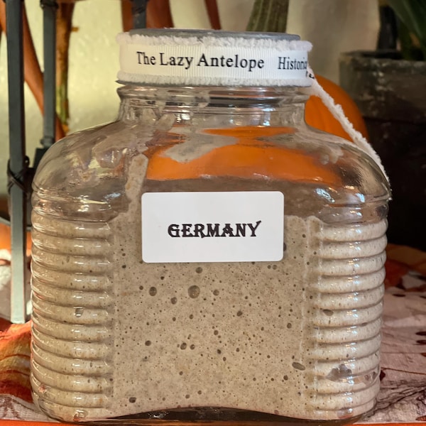 400-Year-Old Bavarian “Black Death” Sourdough Starter  Circa 1633 Dark Rye-Pumpernickel