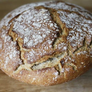 400 Year old Bavarian “Black Death” Sourdough Starter  Circa 1633 Dark Rye-Pumpernickel