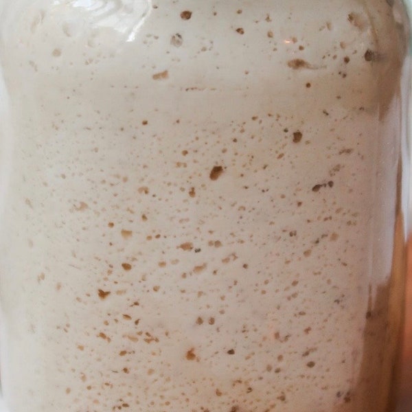 Gluten-Free Sourdough Starter