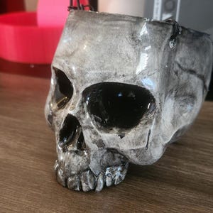 May include: A white ceramic skull planter with black eye sockets and a glossy finish. The skull has a wire hanger attached to the top.
