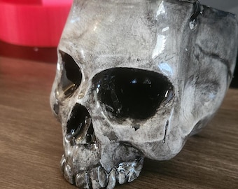 Hanging Skull Planter - Bone