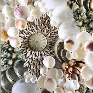 Sea Shell Wall Panels- Full Wall Mosaics All Natural Seashells Urchins -  Coastal Nautical Mural Ocean Theme Wall Mural Sculpture Custom