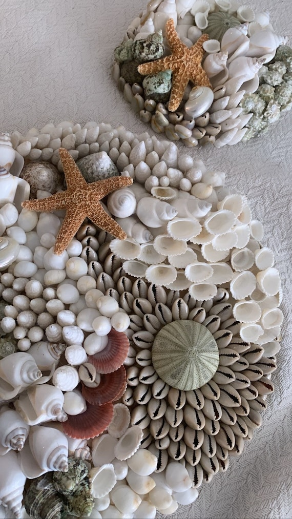 Seashell Wall Mosaic DEEP SEA CORALREEF Natural Sea Shells Urchins