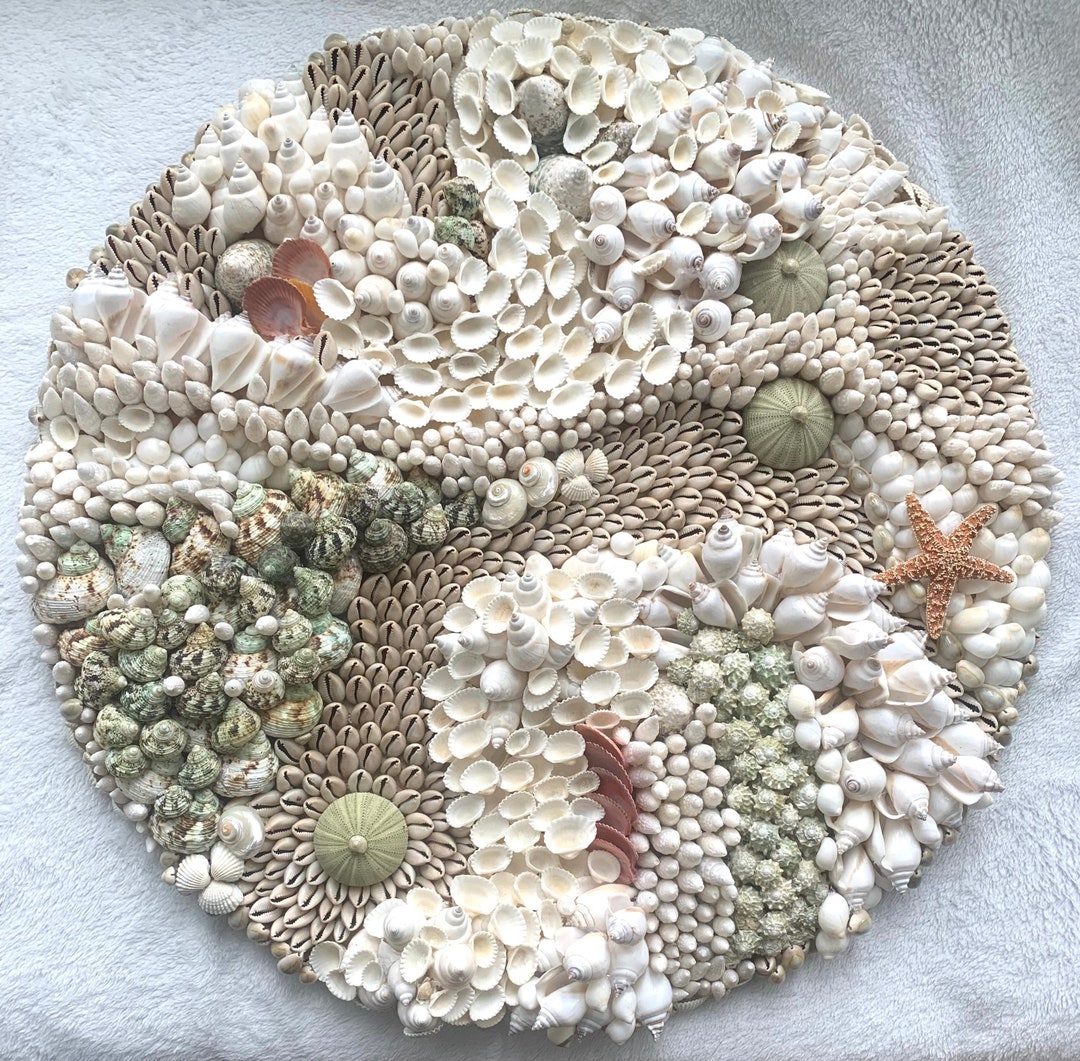 Seashell Mural DEEP SEA CORALREEF Natural Sea Shells Urchins Etsy