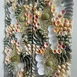 Sea Shell Wall Panels- Full Wall Mosaics All Natural Seashells Urchins -  Coastal Nautical Mural Ocean Theme Wall Mural Sculpture Custom