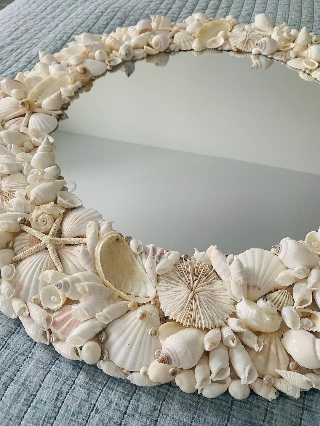 White Seashell Mirror – “coral Reef Mirror” Coastal Shell Starfish Mosaic, Beach Decor - Etsy