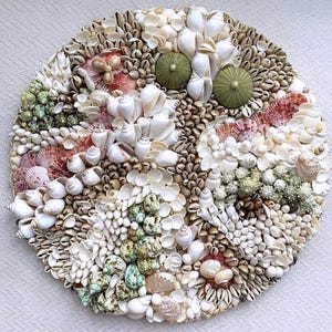 May include: A circular mosaic made of various seashells in shades of white, brown, pink, and green. The shells are arranged in a swirling pattern, creating a visually appealing and textured artwork.