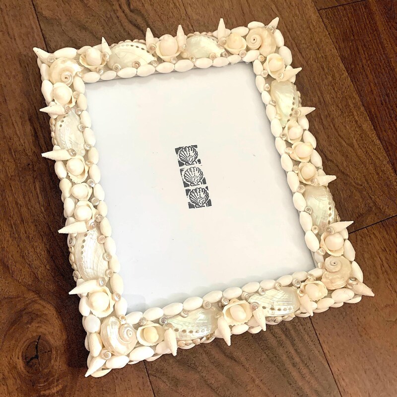 Seashell Frame - Etsy