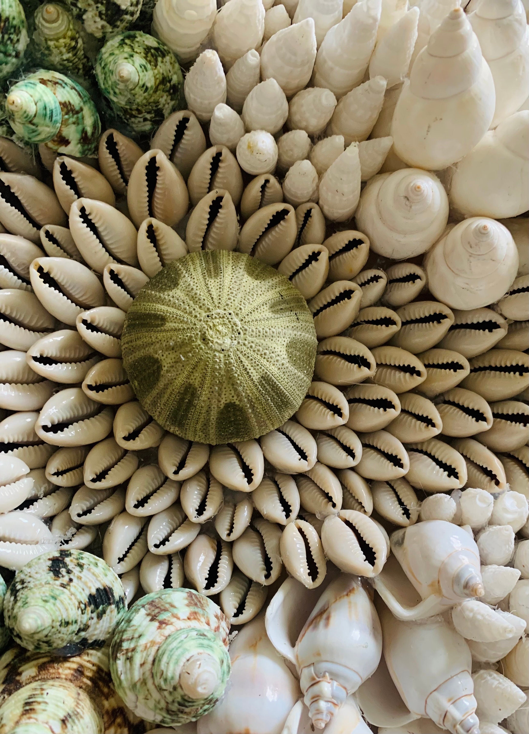 Seashell Wall Mosaic – “coral Reef” Round Coastal Sculpture
