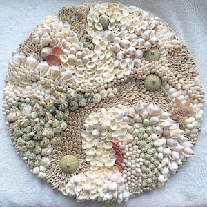 Seashell Mosaic Wall Art – “Deep Sea Coral Reef” Round Wall Sculpture Natural Shell & Urchin