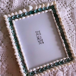 AQUA Blue Limpet Sea Shell Picture Frame All Natural Rare Blue and White Seashells Nautical Coastal Ocean Beach Décor Wall Art Wedding Gift