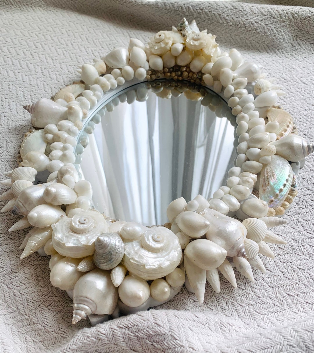 EMMA SEASHELL MIRROR - Natural Sea Shell Mirror Adorned With White and Pearlized Shells ...