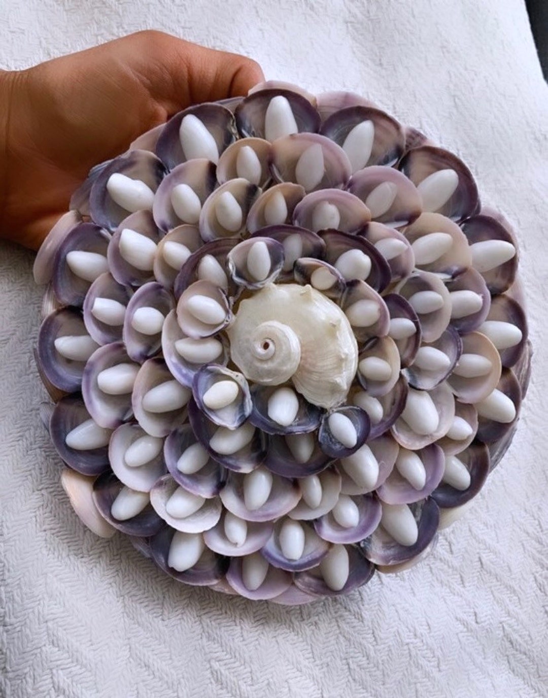 Purple Shell Wall Décor - Hand Embellished Violet and White Nautical ...
